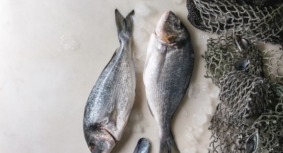 Pescado con micronutriente selenio para prevenir enfermedades